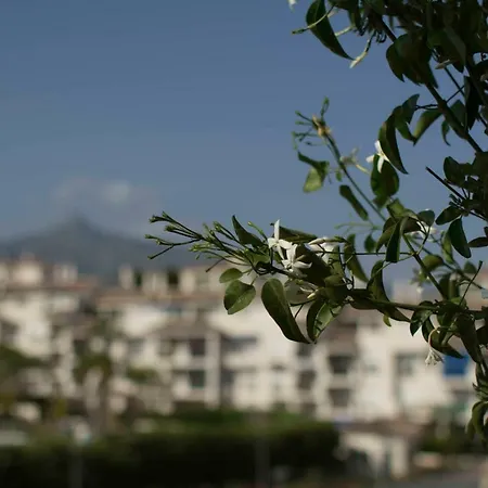 Cozy Banus * Marbella
